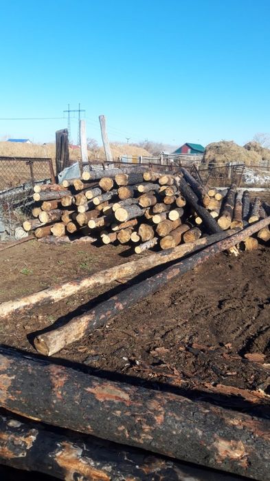 Продам жерди ,есть обмен на крс