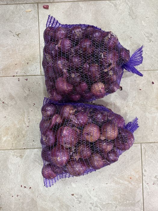 Vand ceapa galbena si rosie