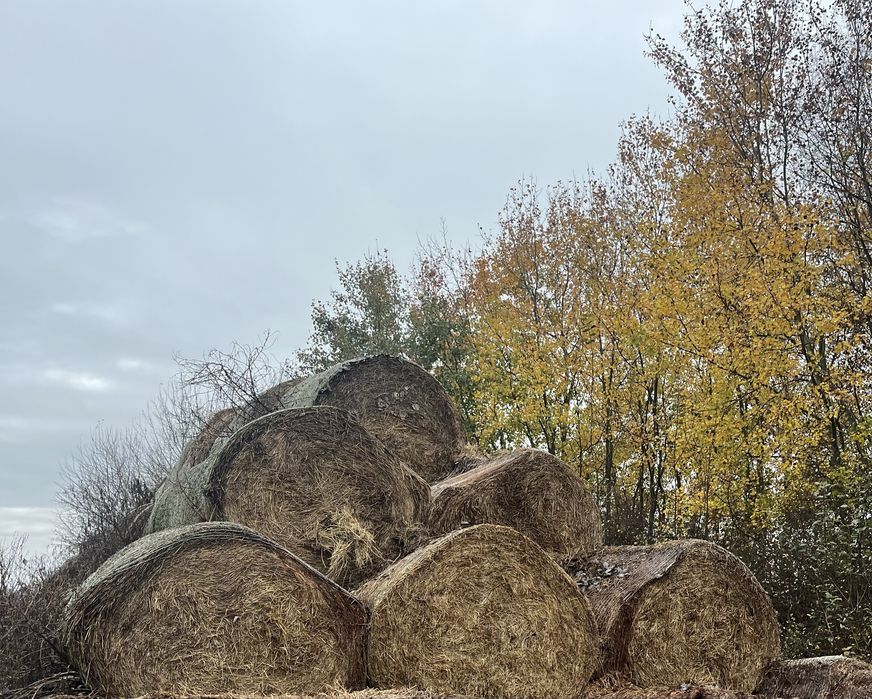 Vand baloti de acum 2 ani