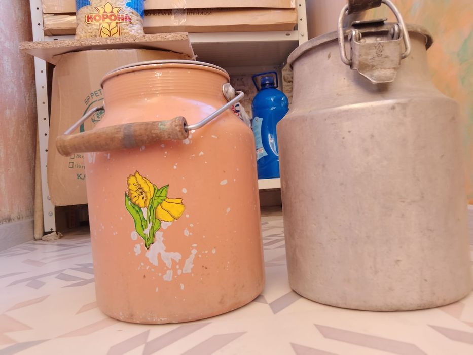 Продам 2 советских бидона по 10 литр каждая , б/у