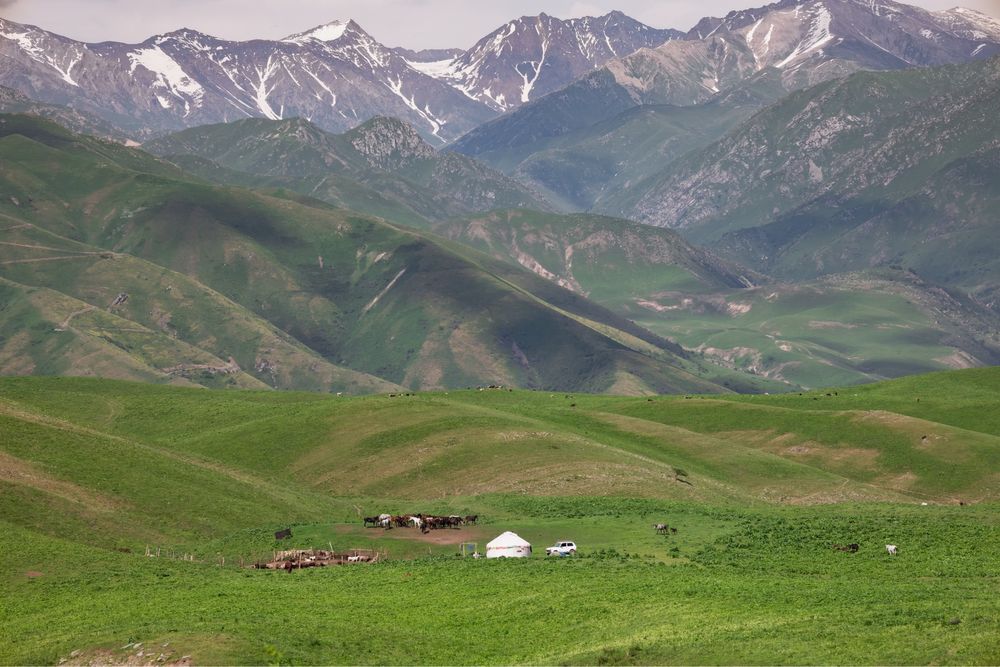 Сдам в аренду фазенду