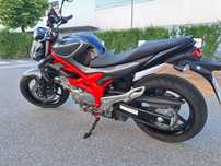 Suzuki Gladius 650