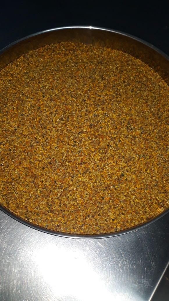 Vand polen crud sau  uscat ,  60  lei/ kg