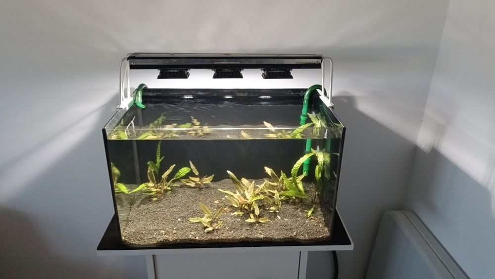 Vând acvariu de 45 L