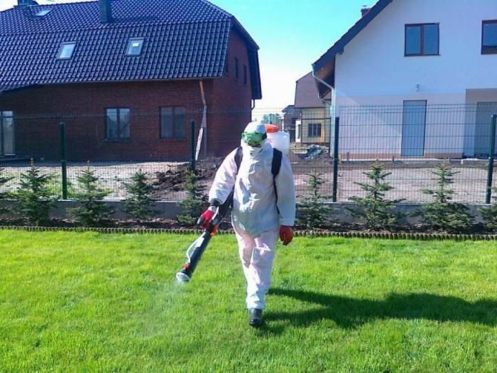 Уничтожение насекомых в г.Зыряновск от Компании DezClean