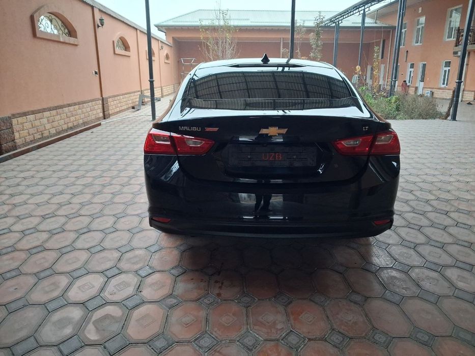 Malibu  ideal  holatda 2019