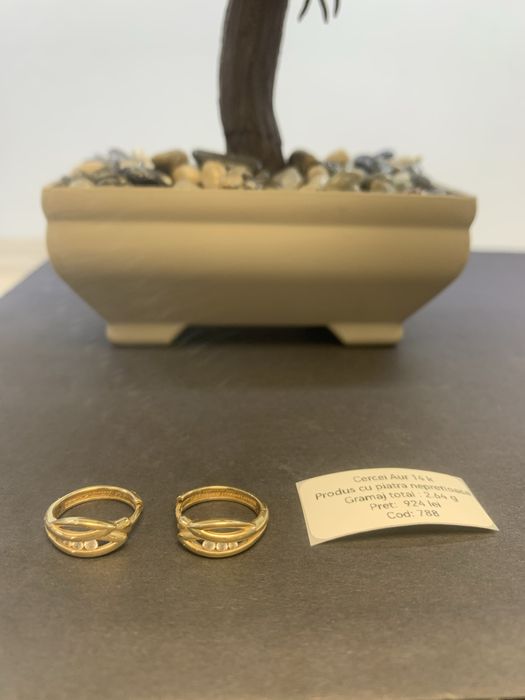 Cercei aur 14 k certificat anpc