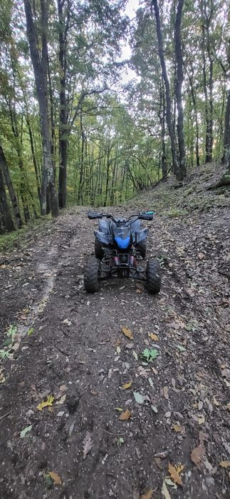 Atv bshan alaska 200cc