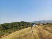 Vand teren Zalau