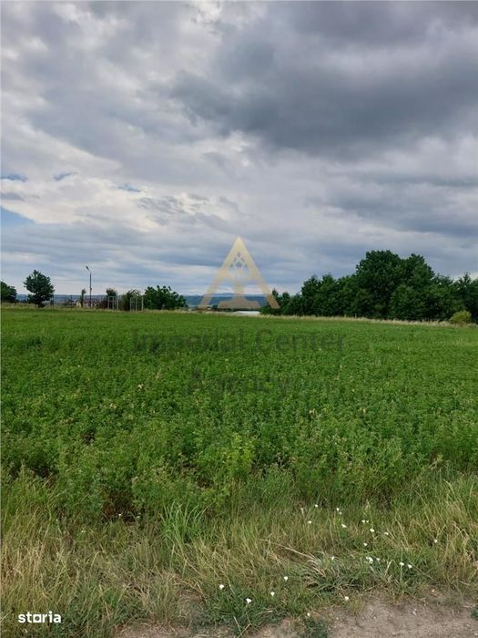 Teren intravilan de vanzare in Tg Trotus