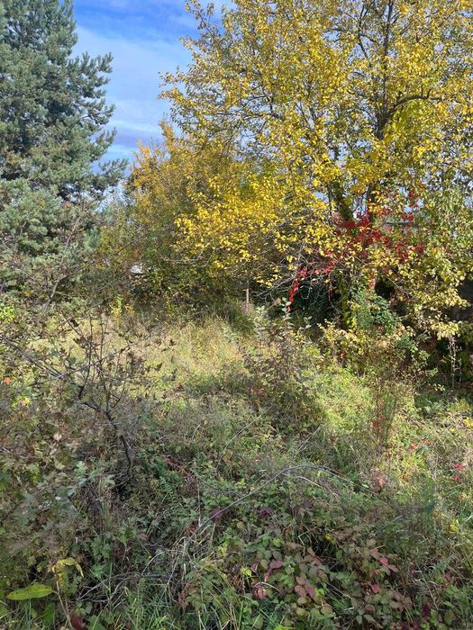 PF vand teren zona BUNA ZIUA cu CUcasa 422+154 la 475eur/mp