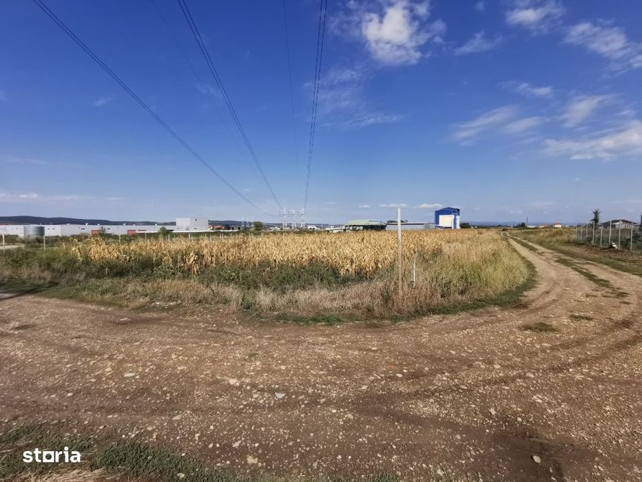 Teren intravilan de vanzare in Osorhei, 5.840 mp, cu front 3 fronturi