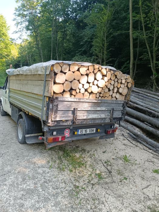 Lemn de foc esență tare și moale