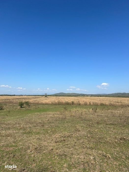 Urleta - teren 3600mp - 5 Euro/mp Neg.