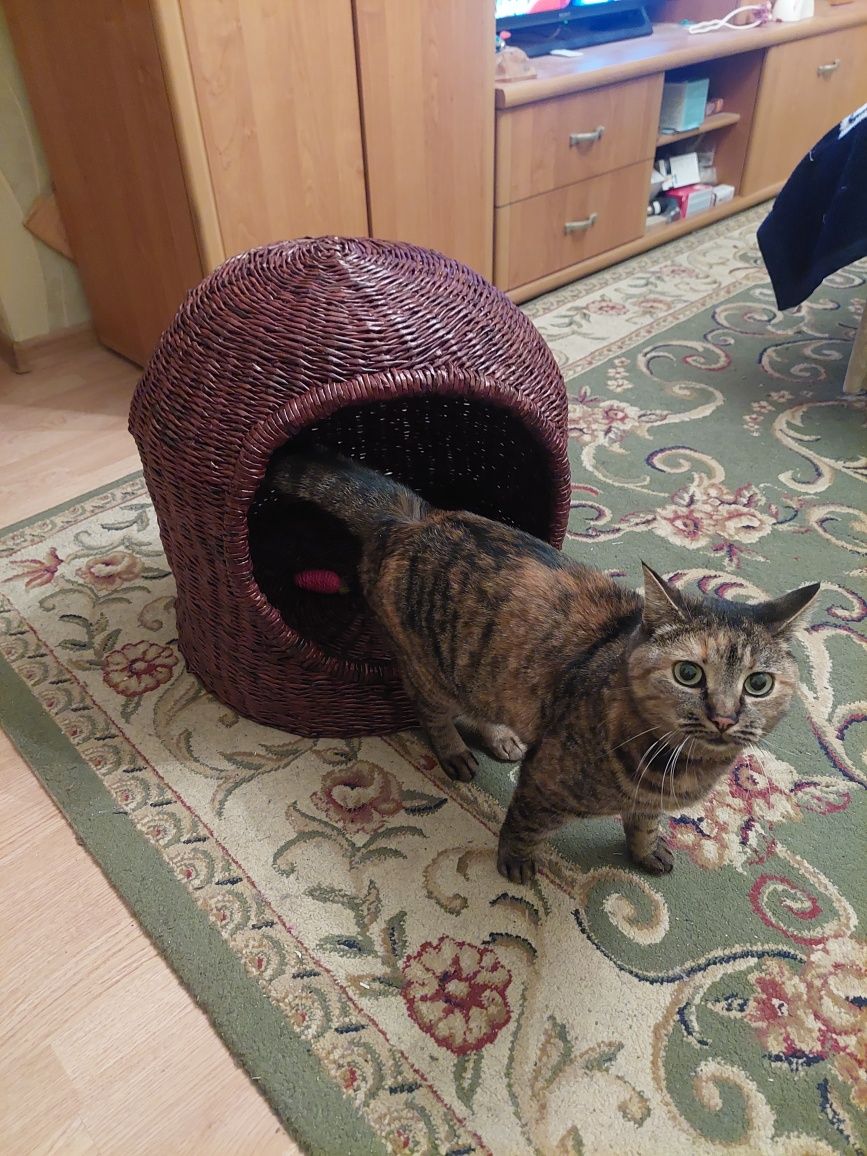 Продам плетеный домик для кошки