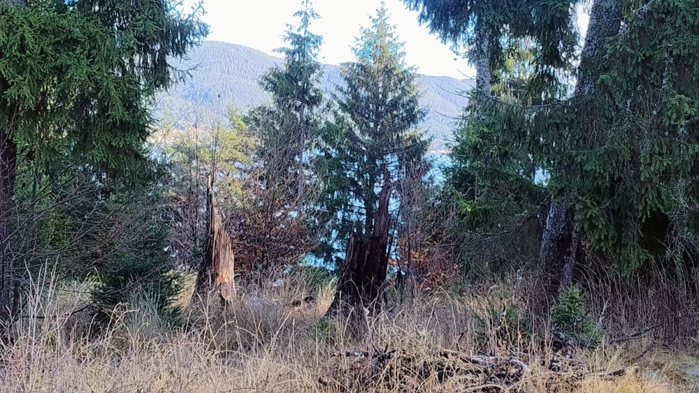 Продава се Парцел в Сърница - 543 кв.м за 57 €/кв.м - Снимка #4