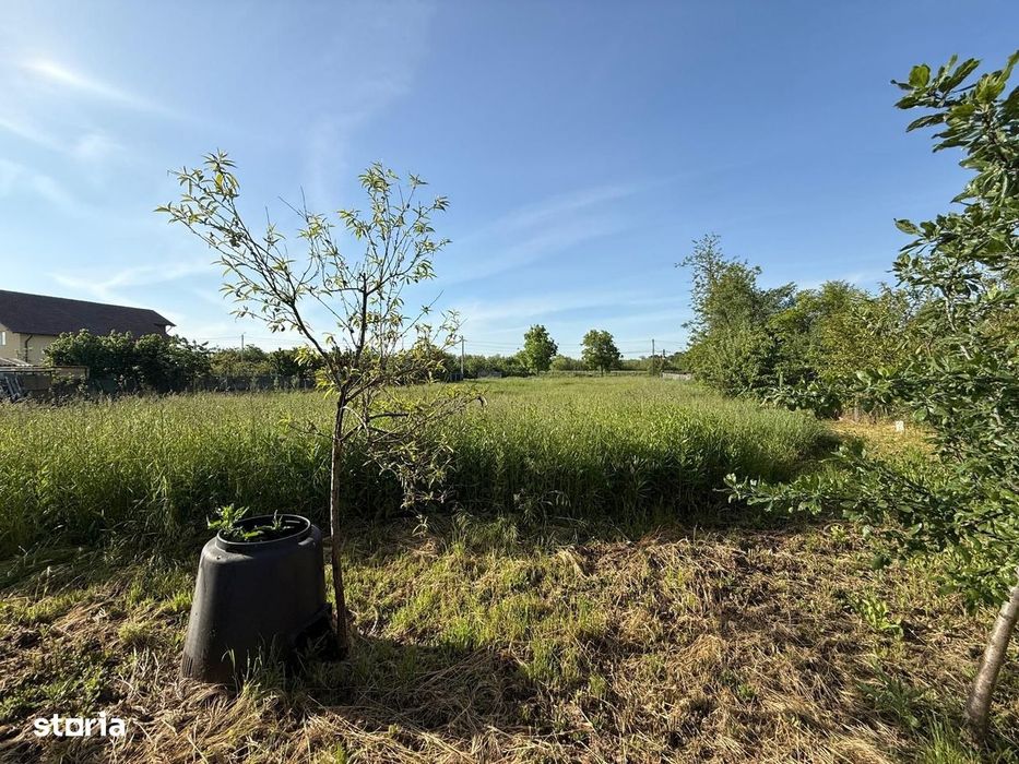 Teren de 3360 mp în exclusivitate, Sânmihaiu Român, vedere la Bega