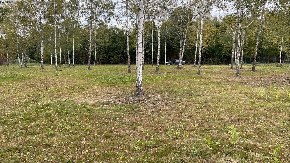 Teren intravilan Valea Avrigului
