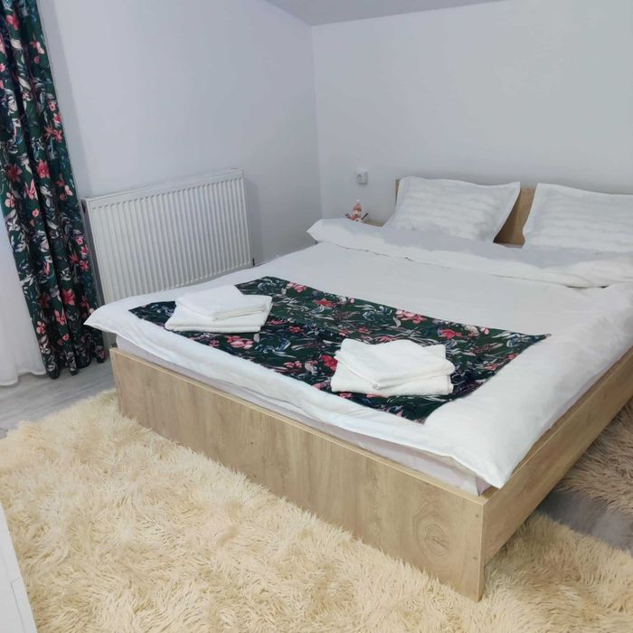 Cabana de inchiriat Craciun