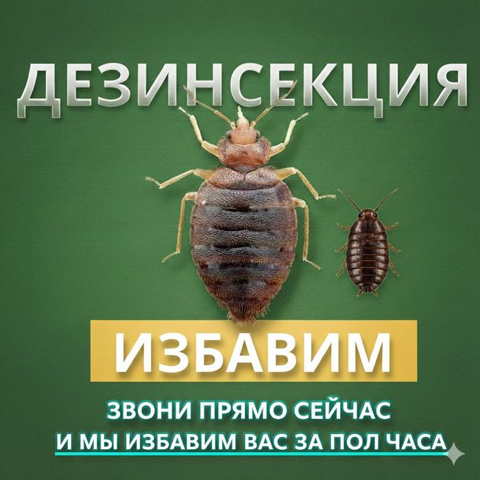 СЭС СЕРВИС | Дезинсекция | Тараканы, клопы, блохи быстрое уничтожение