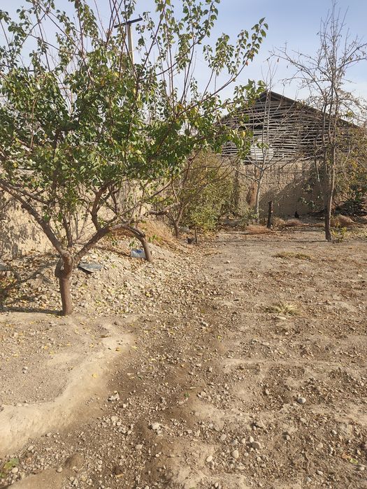 Чек сотилади срочно