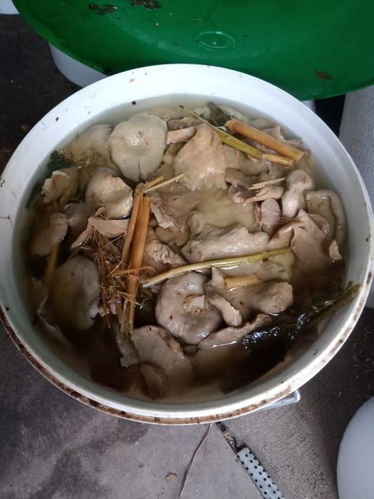 Продам грибы, мёд