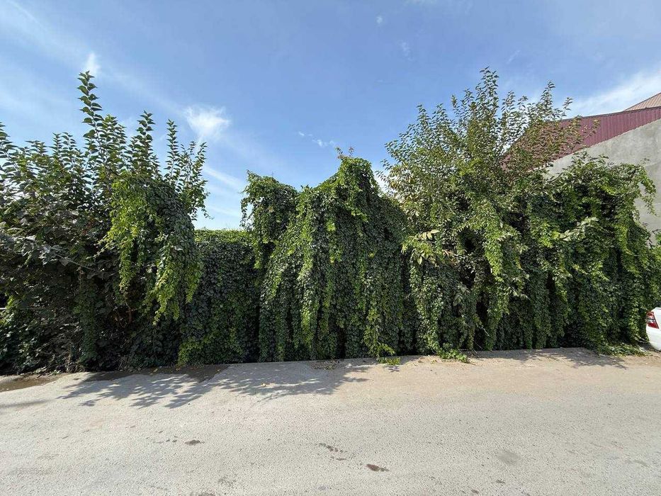 Yangi hayot tumani chortoq mahallada 6 sotixli er sotiladi.