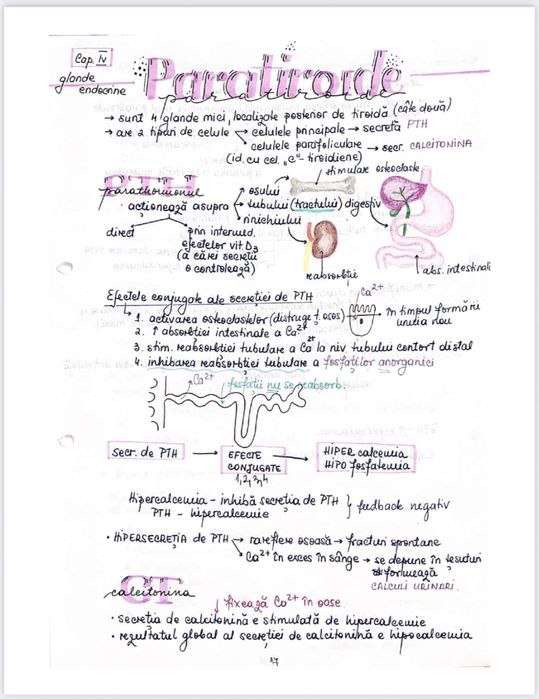 Notițe admitere medicină - biologie