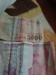 Bagnote și moneda
