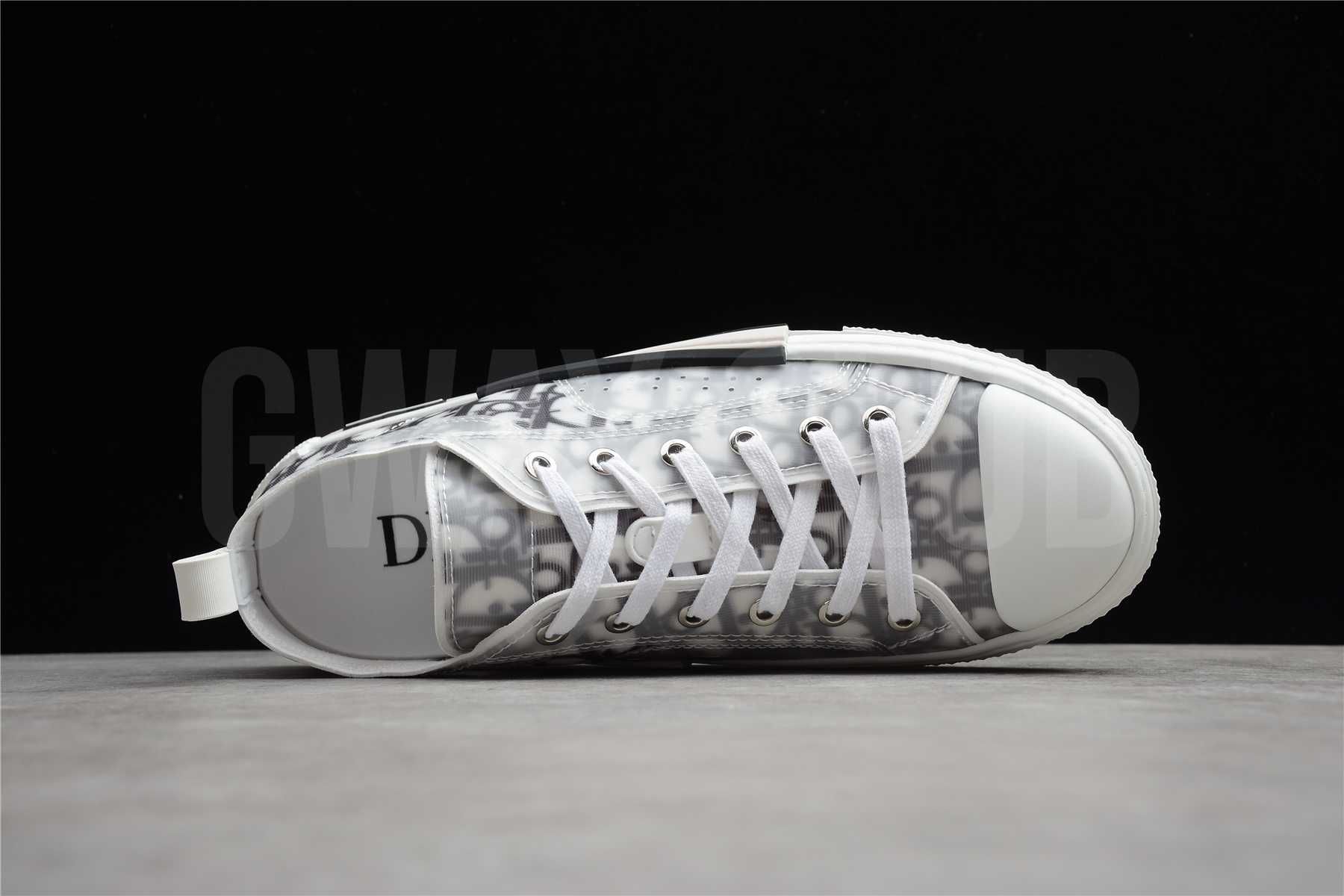 Dior B23 Low Top