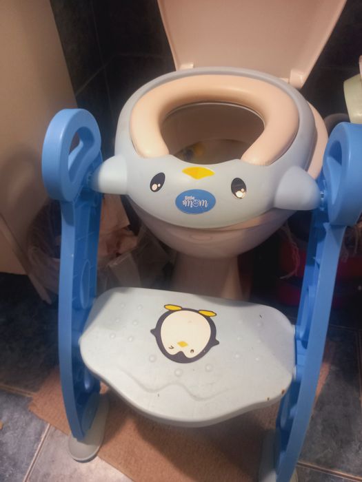 Reductor pentru toaleta cu scarita