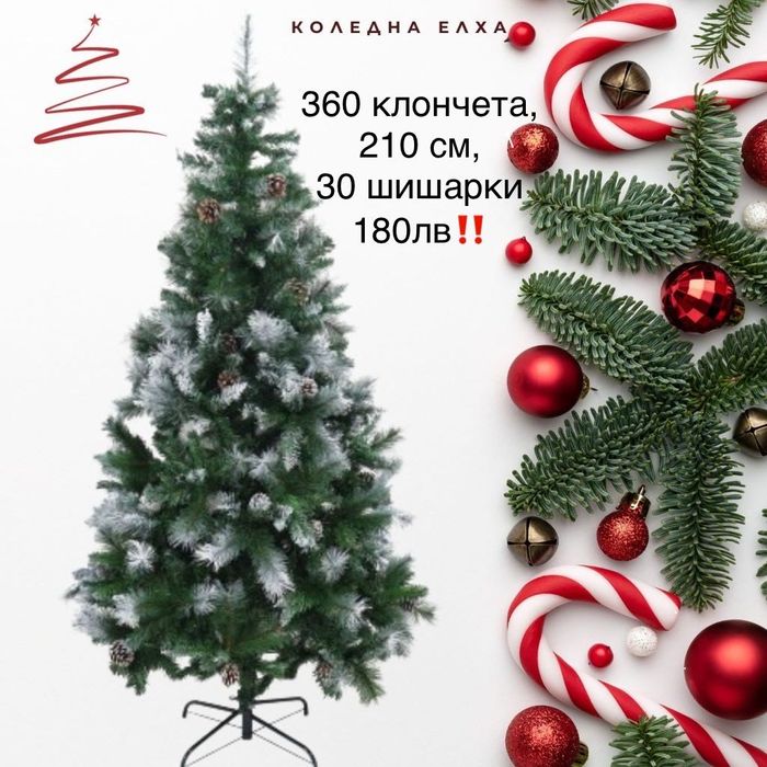 Коледни елхи на най-ниски цени