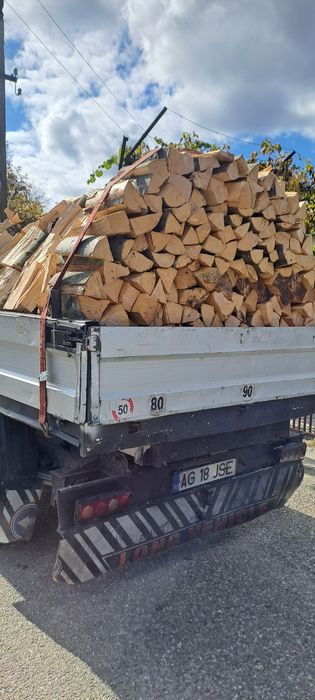 Lemne foc orice dimensiune  esențe tari