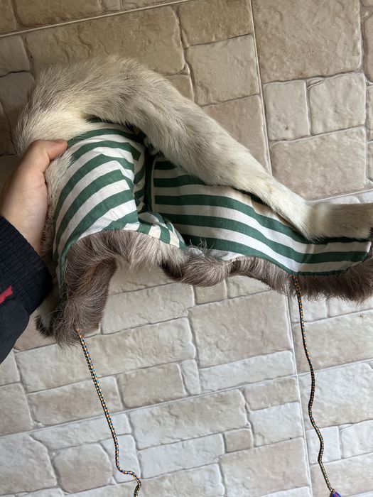 Căciulă de iarnă din blană naturală