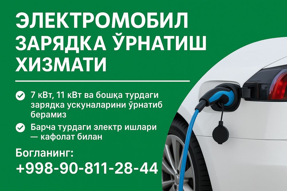 Установка электро зарядки 100$