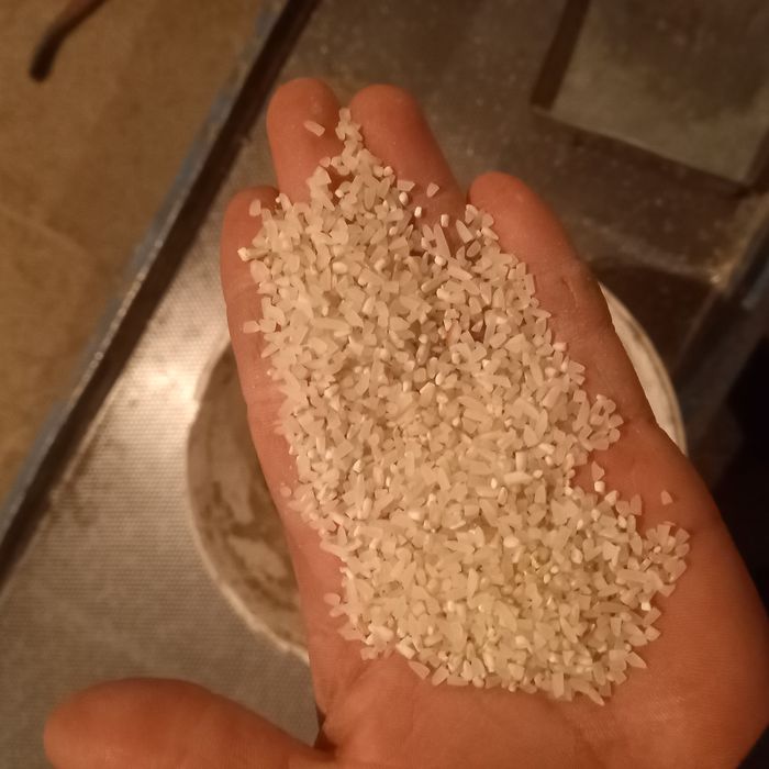 Сечка куриштин майдасы аусак