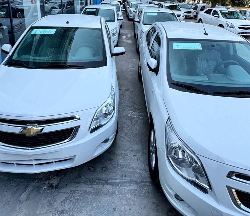 Cobalt кобалт stayl 2025 ‼️