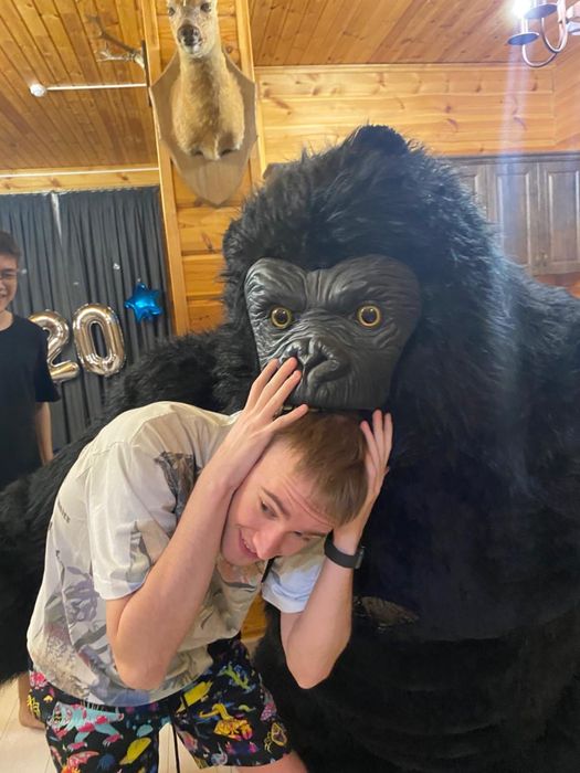 КИНГ Конг/Конг/БЕЛЫЙ Мишка/УМКА/Мишки Тедди/Аниматоры/Поздравление