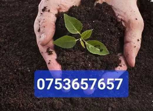 Pamant negru, pamant gazon, nisip gazon SUPER PRET