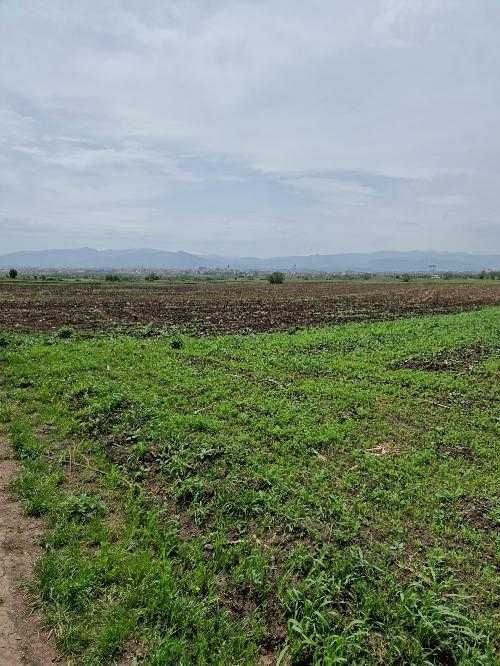 Teren agricol de inchiriat Sibiu, Viile Sibiului