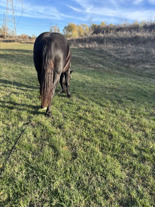 Iapa de vanzare. !!!