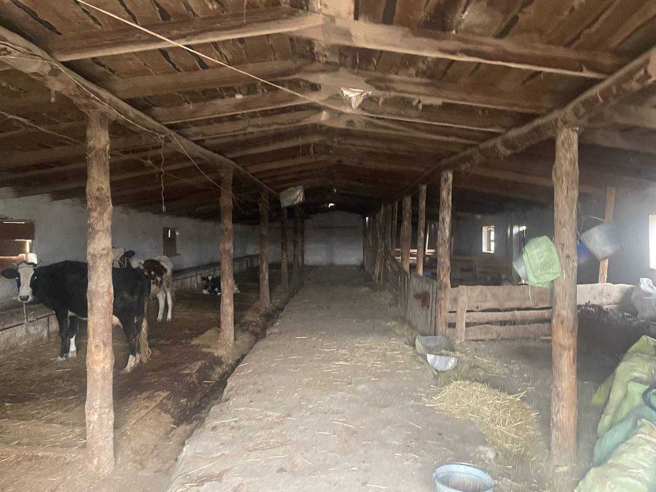 G`uzor tumanida Chorvachilik binosi bolib tolash sharti bilan sotiladi