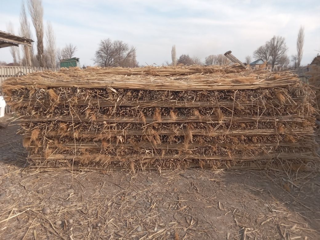 Камыс мата сатылады