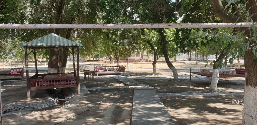 Чиноз Центрида 63 сотих Чойхона