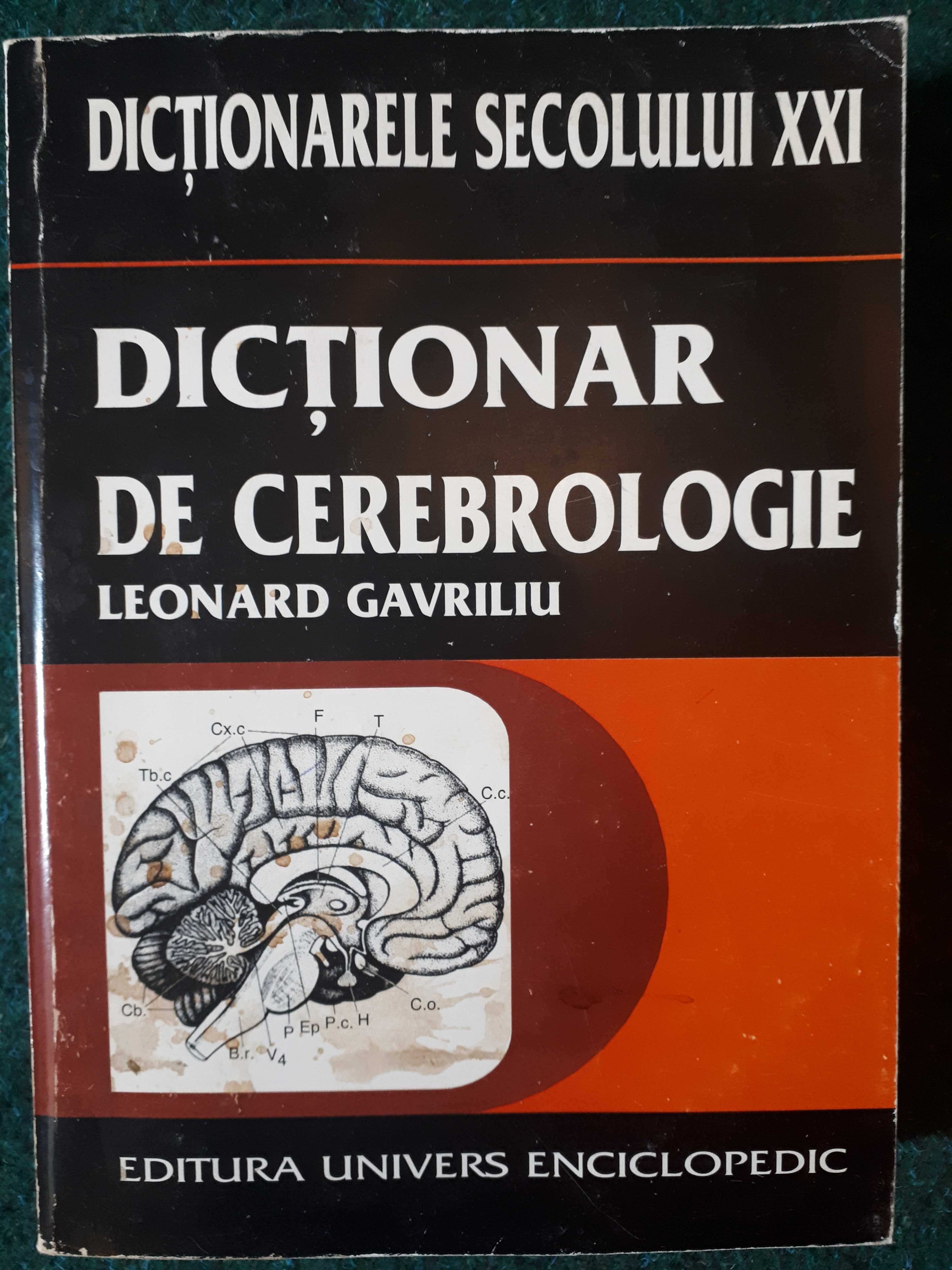 Dictionar de cerebrologie,  Creier și psihic, Leonard Gavriliu