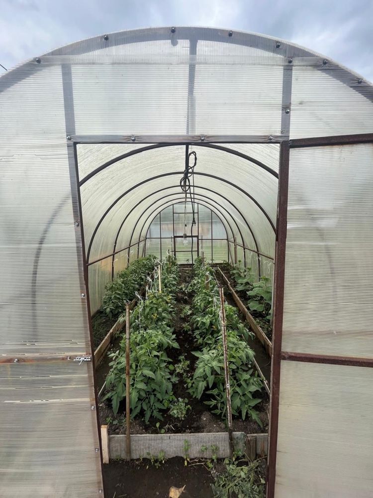 Продам дом залиней