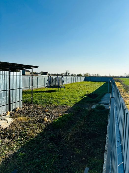 Teren Cazasu / Posibil Rate