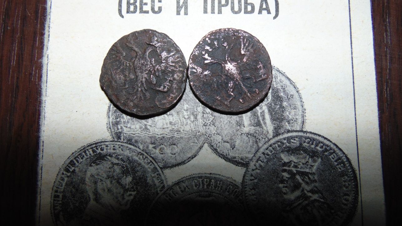 Две монеты деньга Елизаветы Петровны
