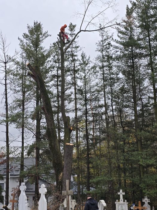 Alpinisti utilitari!Executam diferite lucrari la inaltime!!