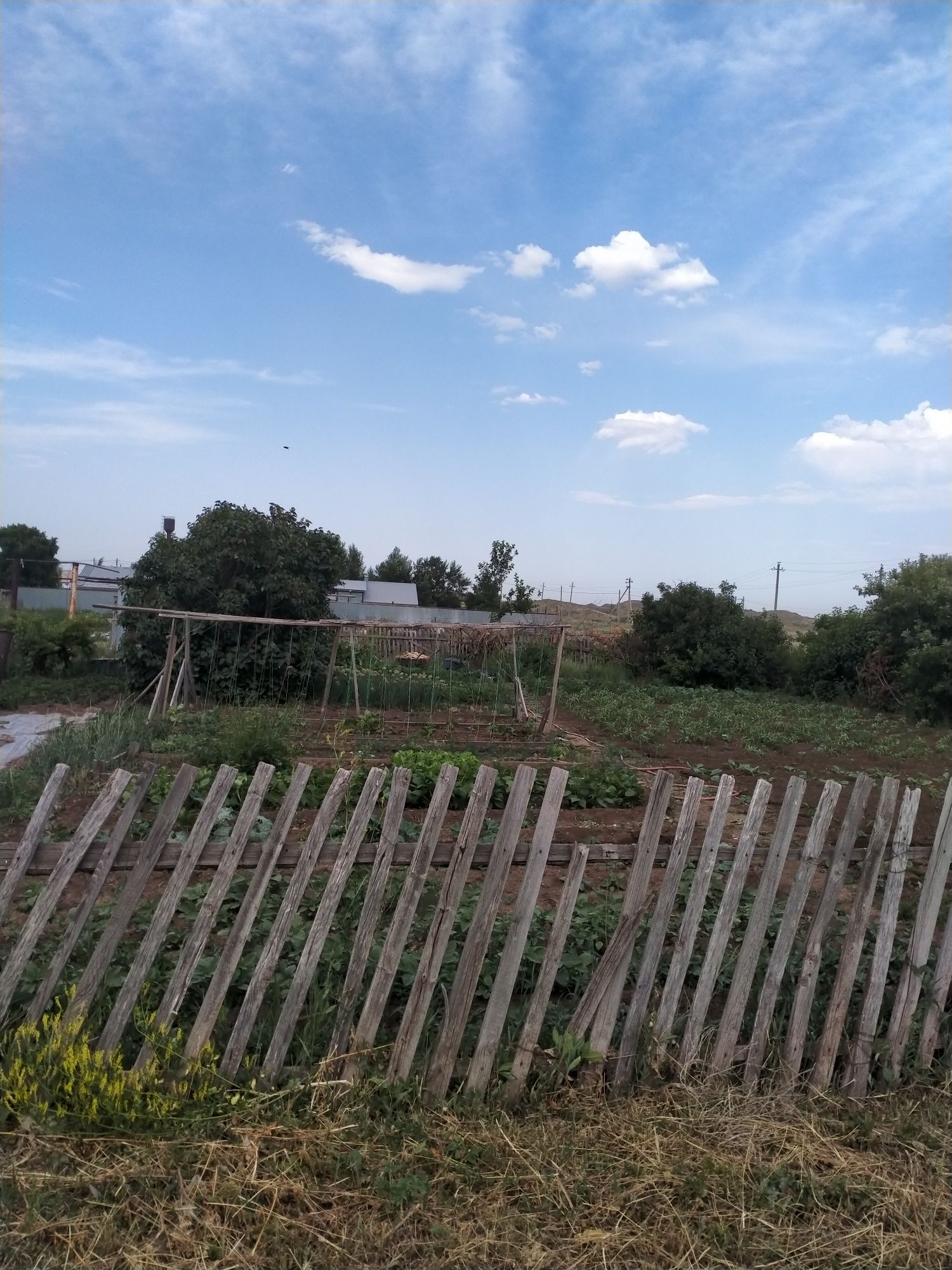 Продам дом аршалынский район
